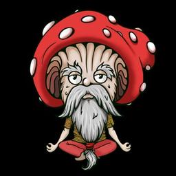 Mr. Fly agaric | Microdosing and awakening consciousness🧠