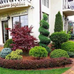 Landscape design. Landscaping. Garden