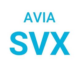 Avia SVX — Viaggio economico da Ekaterinburg