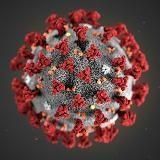 Coronavirus - don't let it overtake you!