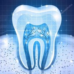 Prótesis dentales coronas MK inlays onlay inlay