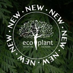 Novedades de Ecoplanta