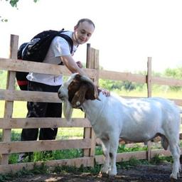 Goat Breeding School V.A. Shatalova