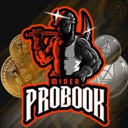 ProBook | Cryptocurrency mining