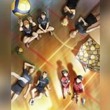 Seiin High School Volleyball Club / 2.43: Seiin High School Men's Volleyball Team / 2.43 Seiin Koukou Danshi Volley Bu