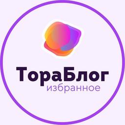 🟣 ТораБлог • Избранное