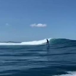 Kite, Wing and surf Mauritius