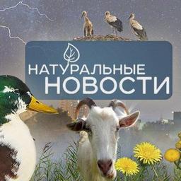 Натуральные новости🌿🌳🍃