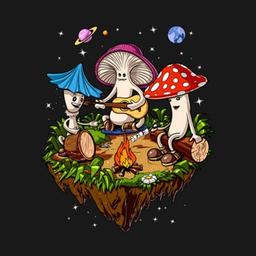 🍄AMANITA_RU