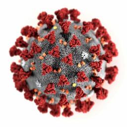 Coronavirus autour