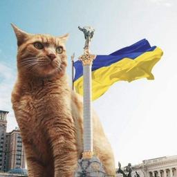 ✙ nuklear❤️🇺🇦