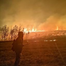 Fires South of Bashkortostan