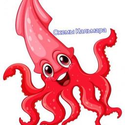 Squid Schemes