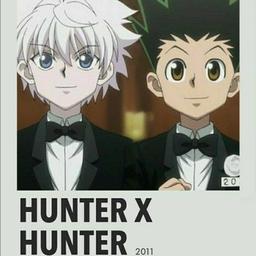 Hunter X Hunter Double • Hunter × Hunter (2011) Double