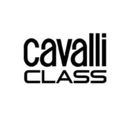 Bolsas CLASSE CAVALLI