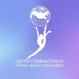 Irina Viner-Usmanova Gymnastics Center in Luzhniki