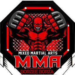 BORZEE BORZA MMA