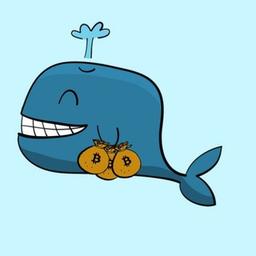 Baleine crypto 🐳