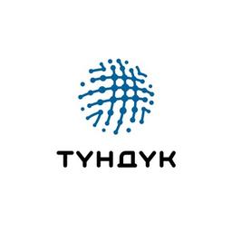 Госпортал электронных услуг «Түндүк»