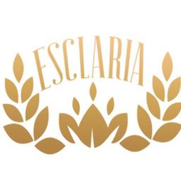 L'équipe Esclaria