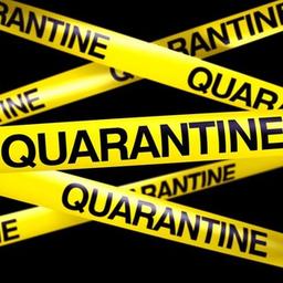 QUARANTINE.LIVE