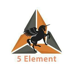 5 Element INVESTORS CLUB