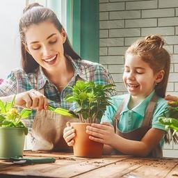 Entendu parler de fleurs et de plantes