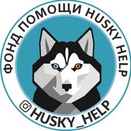 Aiuto Husky