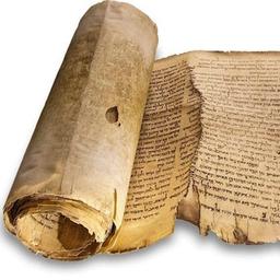 Biblical textual criticism and translation