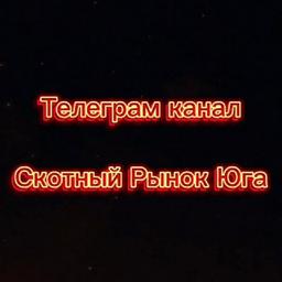 Скотный Рынок Юга