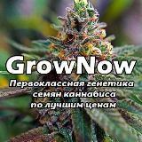 ¿Semillas GrowNow?