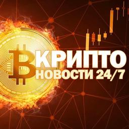 В КРИПТО 24 - Биткоин • Альткоины • NFT