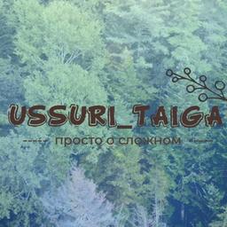 Ussuri Taiga