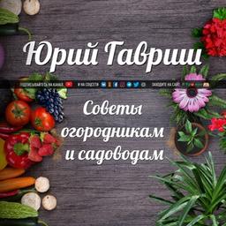 Дача: Советы огородникам и садоводам