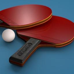 Maestri | Ping-pong