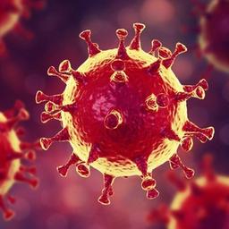 NOTIZIE CORONAVIRUS|COVID-19 🦠