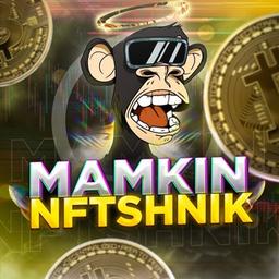 🚀Mamkin NFTshnik🚀