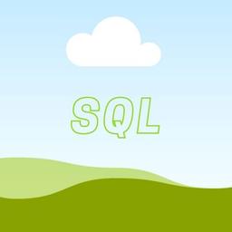 Sviluppatore SQL senior