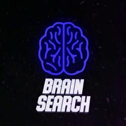 BRAIN 💎 Search