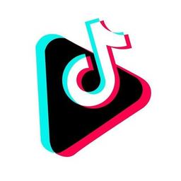 Tiktok bot • download