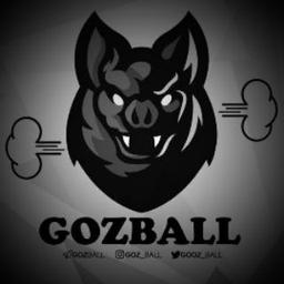 Gozball 😂⚽