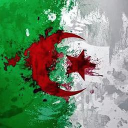 Algeria oggi 🇩🇿