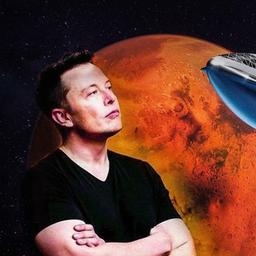 elon_road