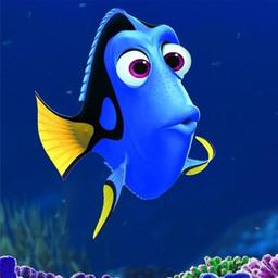 DORI