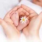 Ivf-Blog (IVF Kirgisistan) In-vitro-Fertilisation