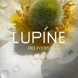 Lupine