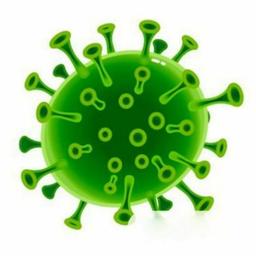 Coronavirus (COVID-19