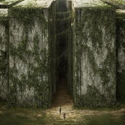 The Maze Runner (All parts)