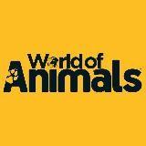 World of Animals ?