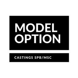 Options de modèle